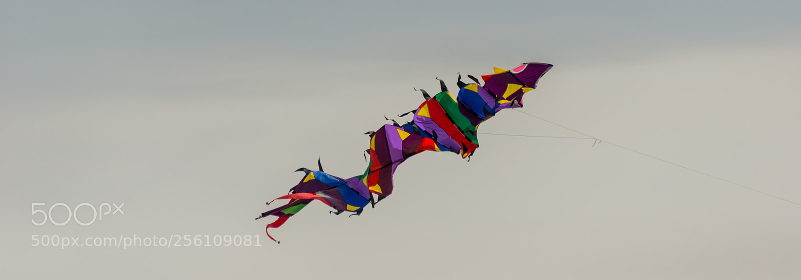 Nikon D800 sample photo. Kiting photography