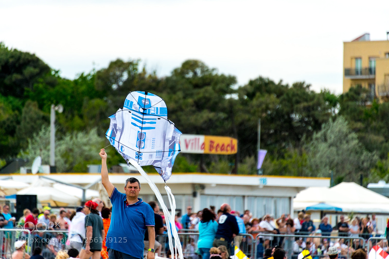 Nikon D800 sample photo. All hail the king! photography