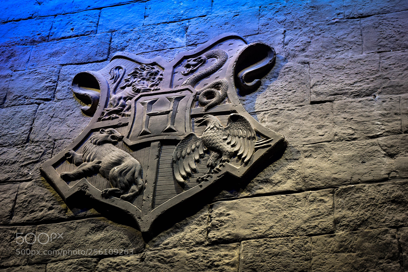 Nikon D5300 sample photo. Hogwarts crest photography