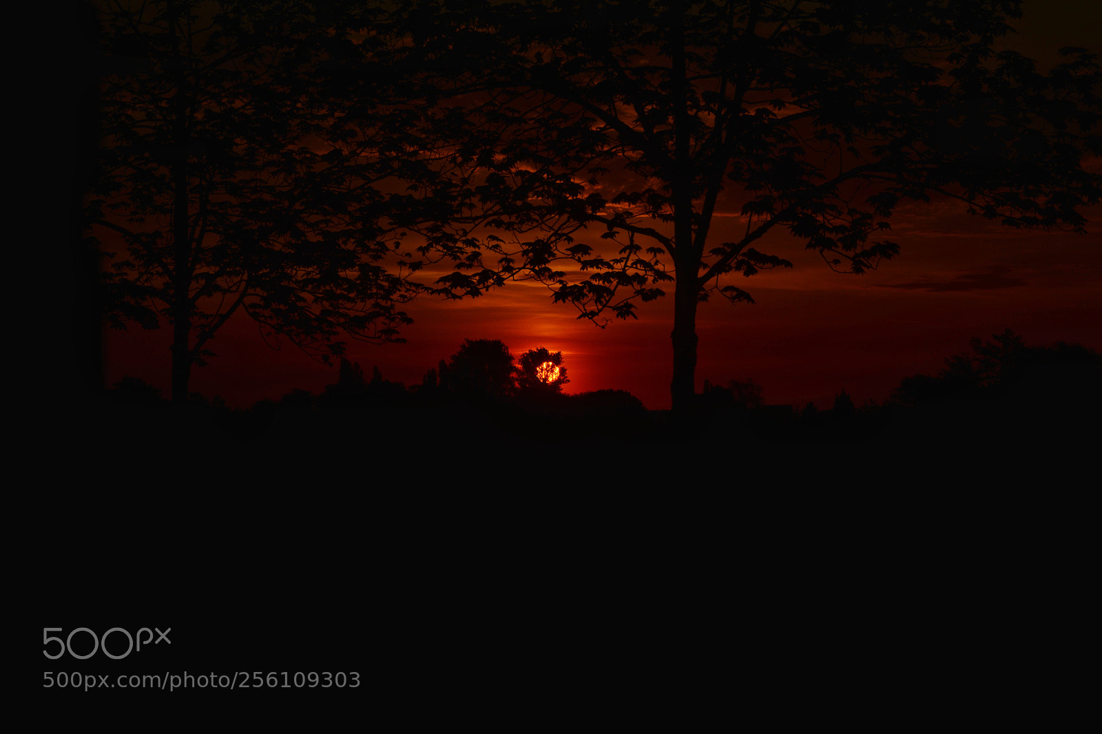 Nikon D5200 sample photo. Sonnenaufgang photography