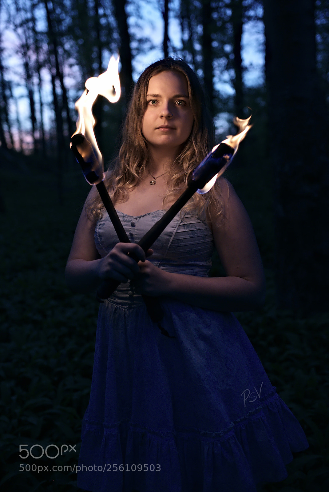 Nikon D750 sample photo. Torches photography