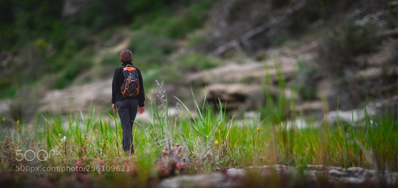 Fujifilm X-T1 sample photo. Walking through the grass.  photography
