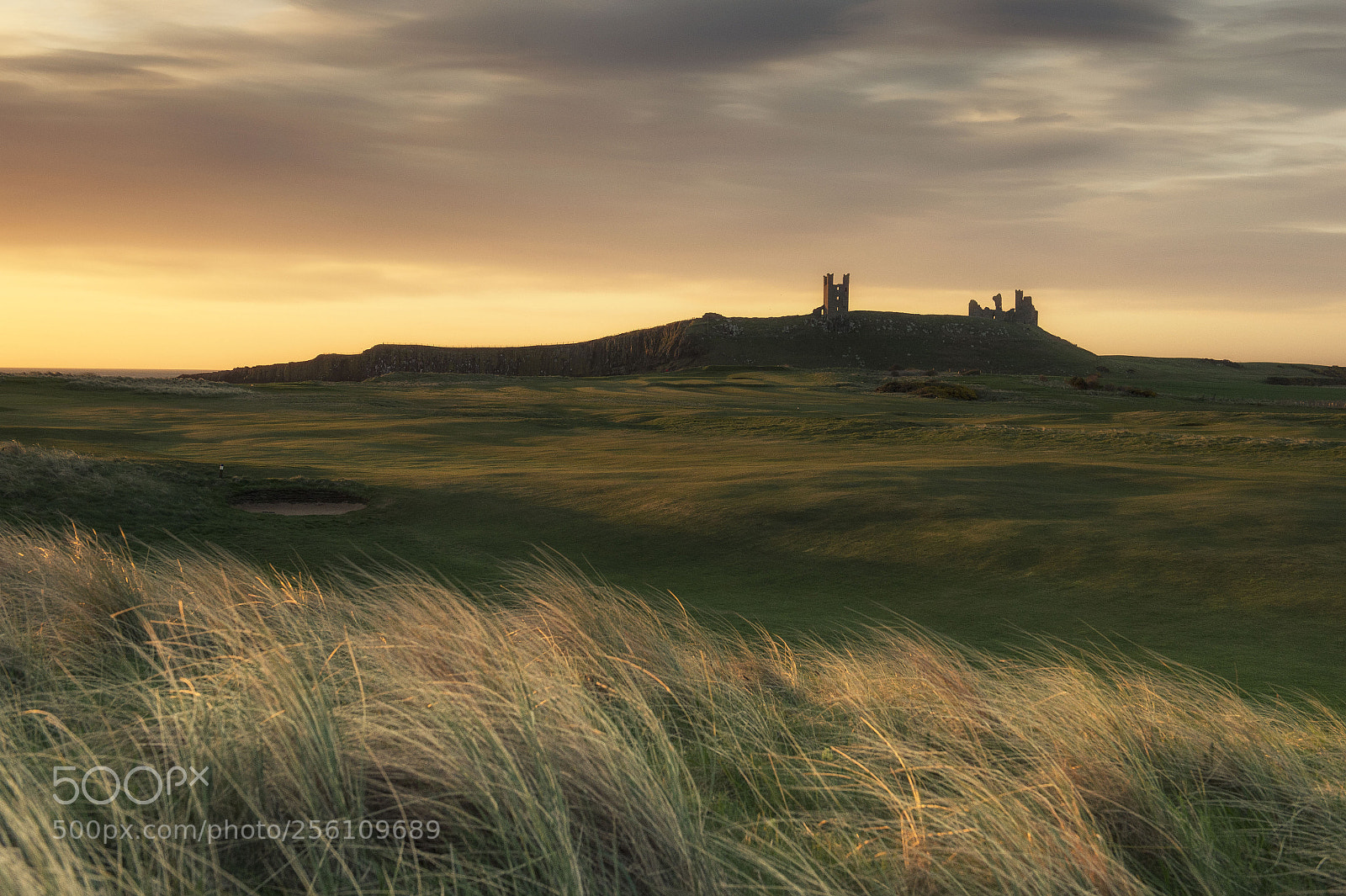 Nikon Df sample photo. Northumberland photography