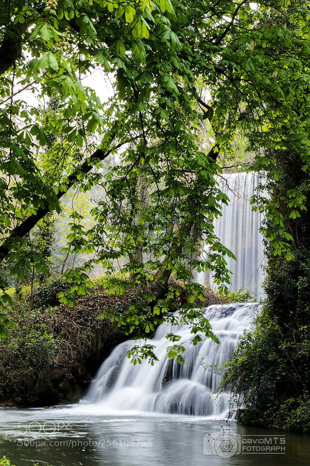 Canon EOS 7D Mark II sample photo. Monasterio de piedra photography