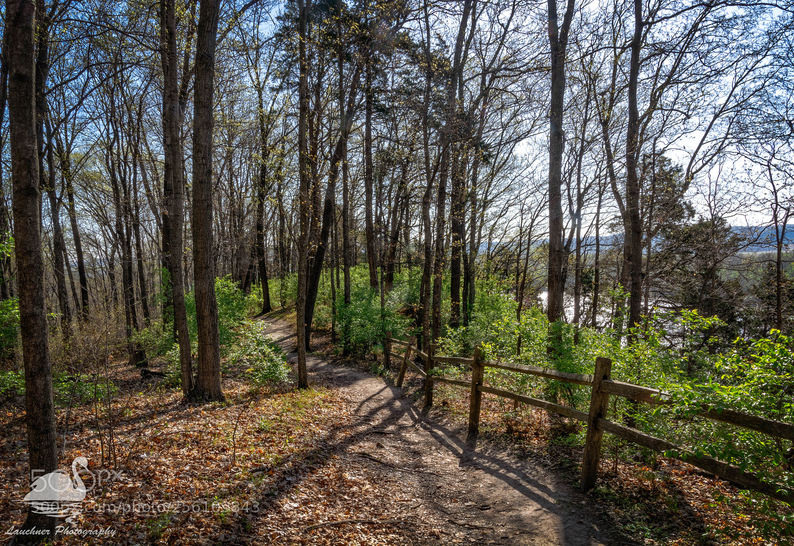 Nikon D5200 sample photo. Hogsback trail photography
