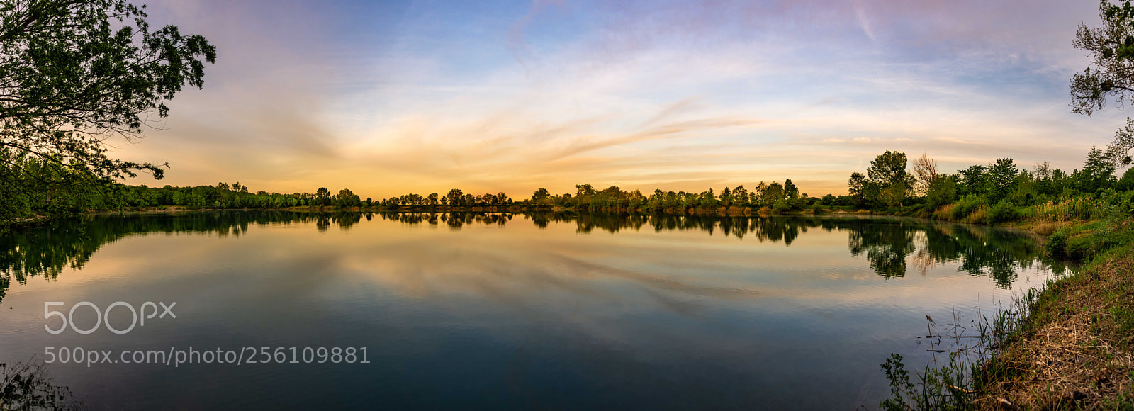 Nikon D610 sample photo. 1st may lovely morning photography