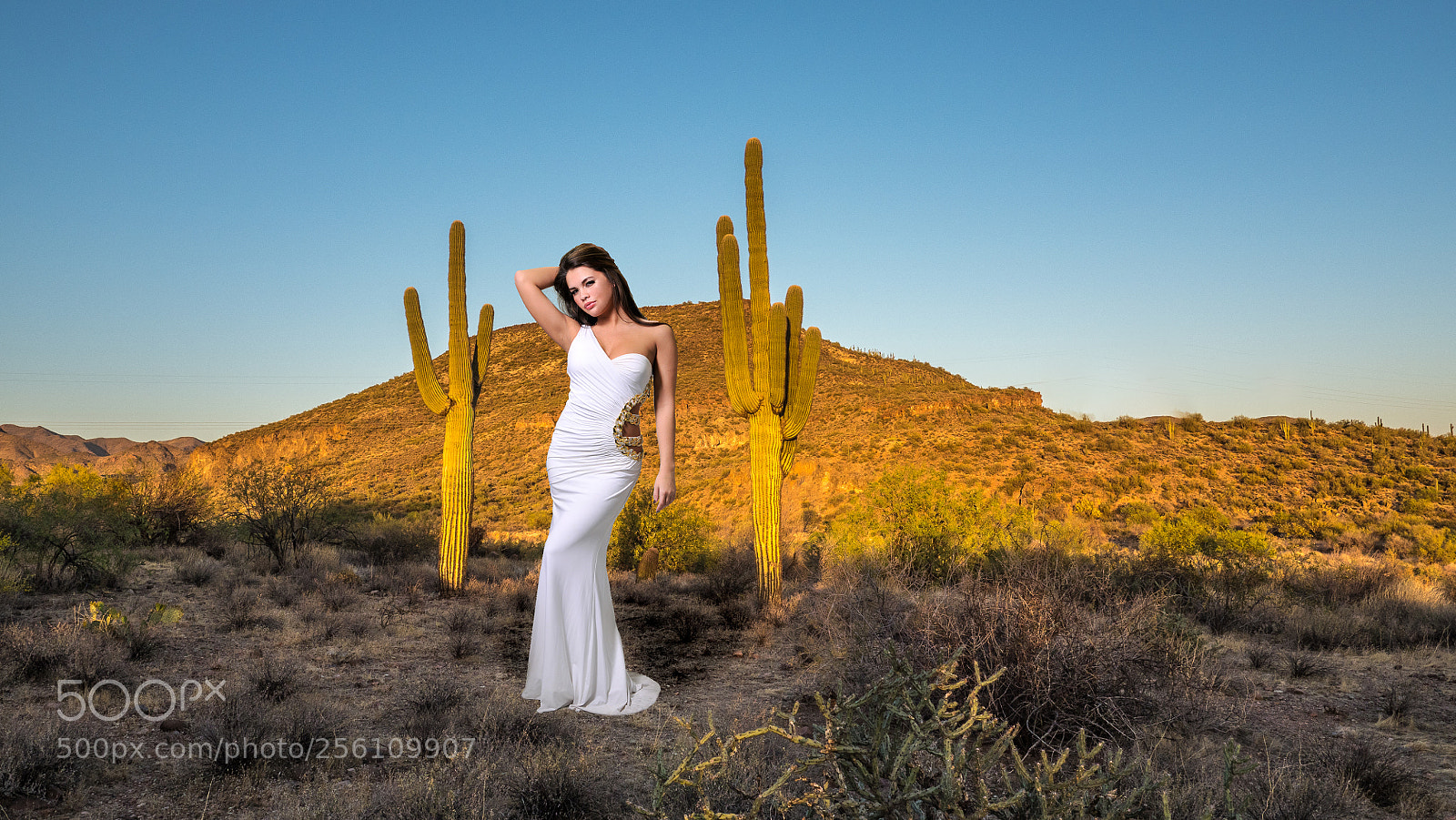 Olympus OM-D E-M1 Mark II sample photo. Sunset in arizona photography