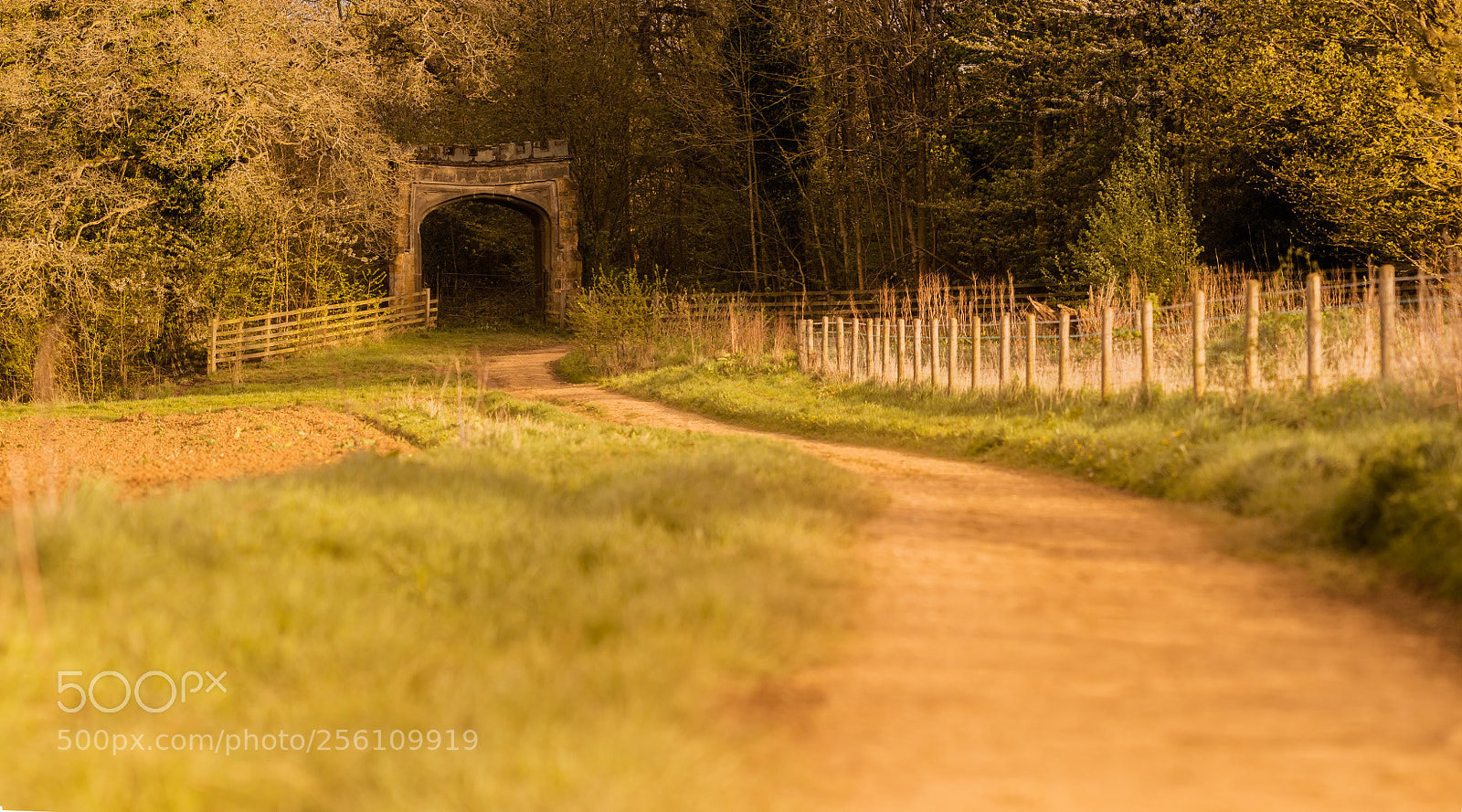 Canon EOS 80D sample photo. Badby woods gateway photography