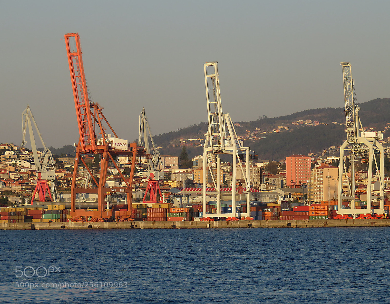 Canon PowerShot SX710 HS sample photo. Cranes photography