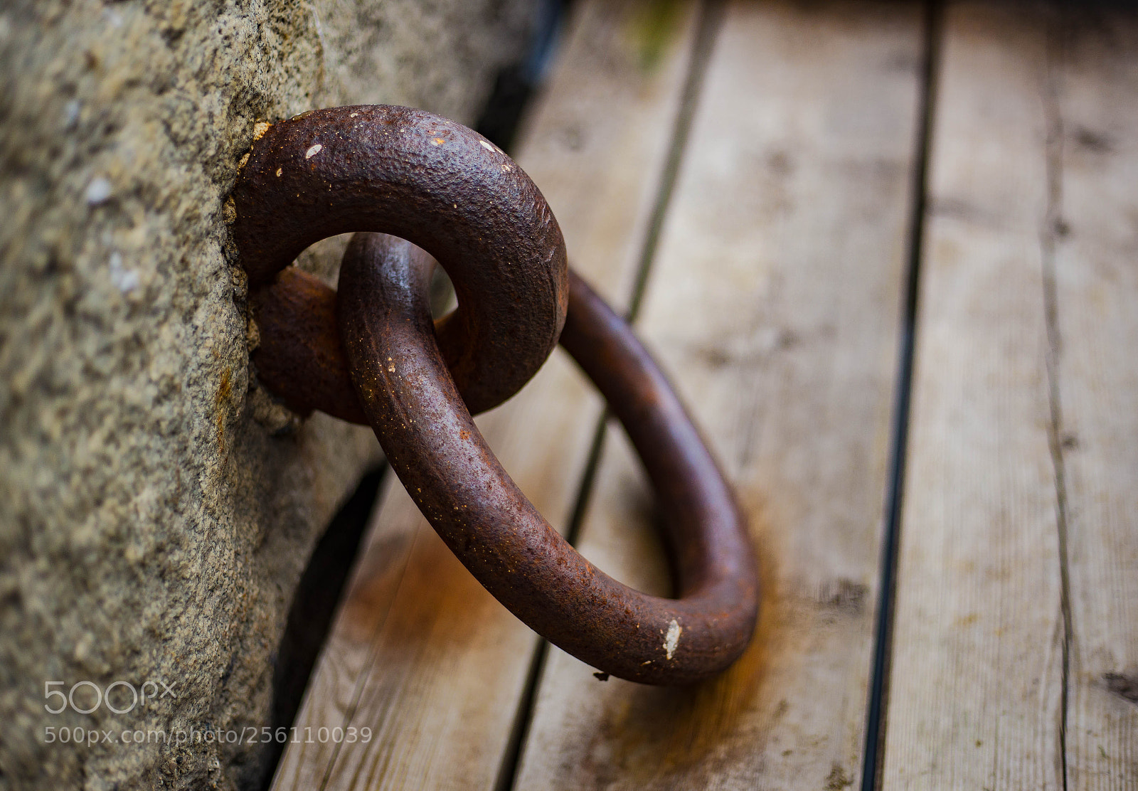 Canon EOS 6D sample photo. Ring photography