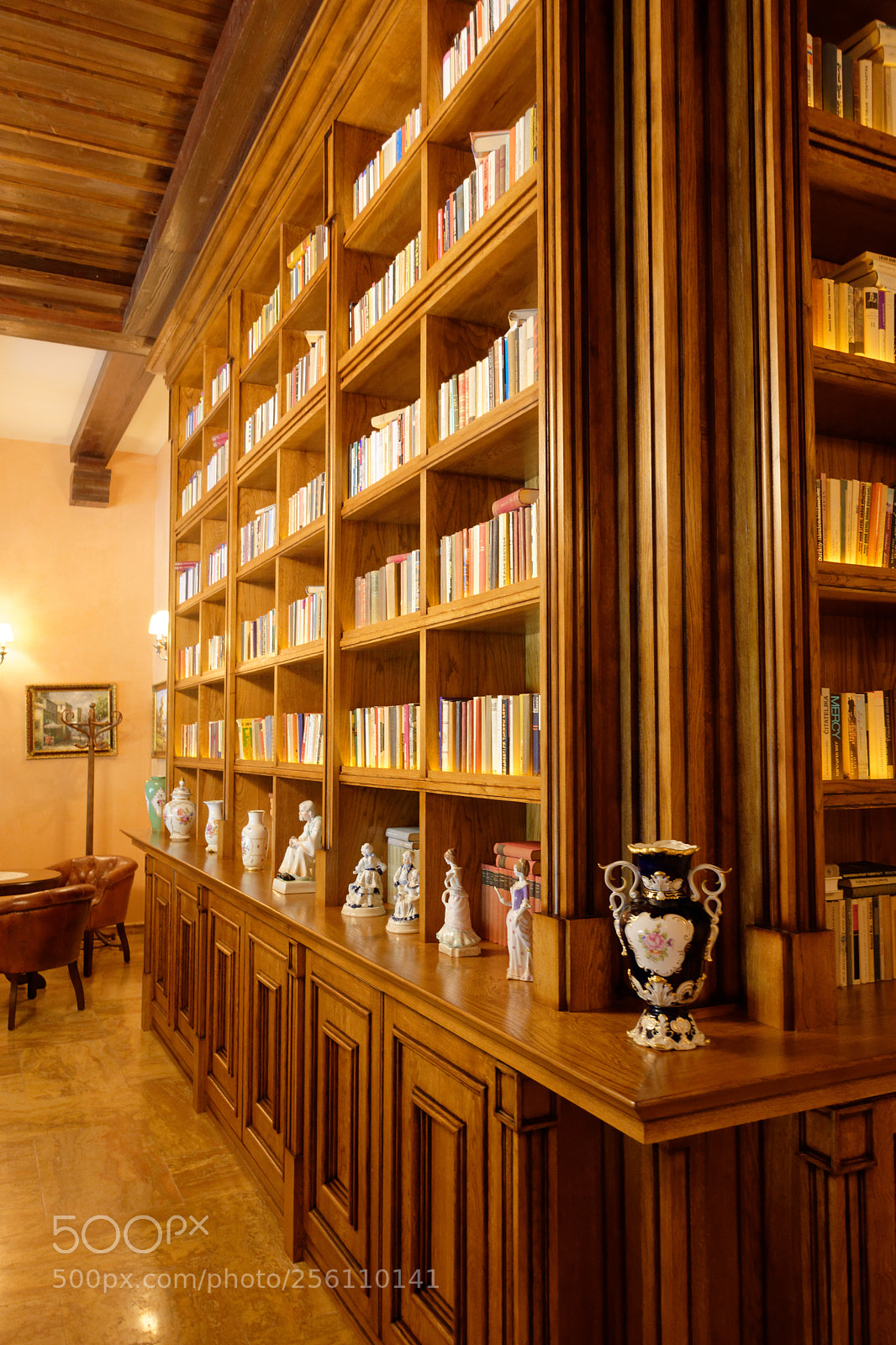 Nikon D7200 sample photo. Library photography
