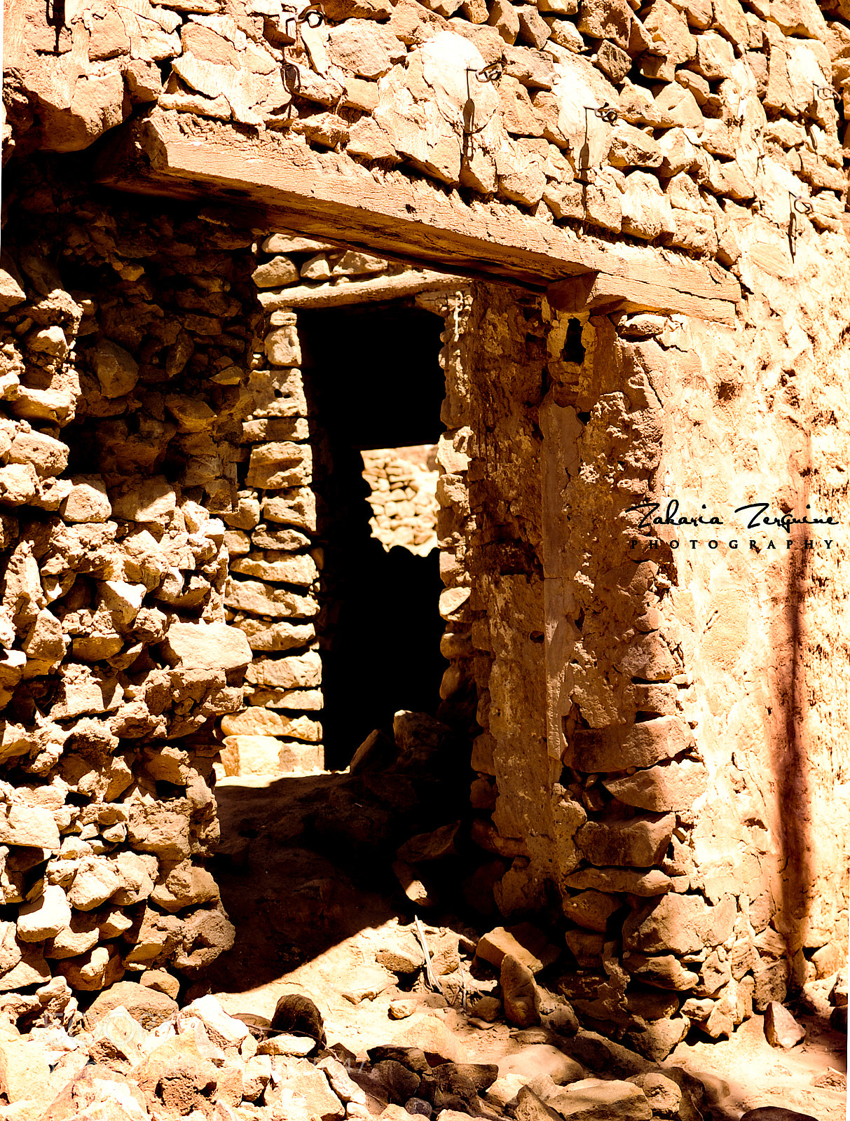 Nikon D700 sample photo. Untitled photography