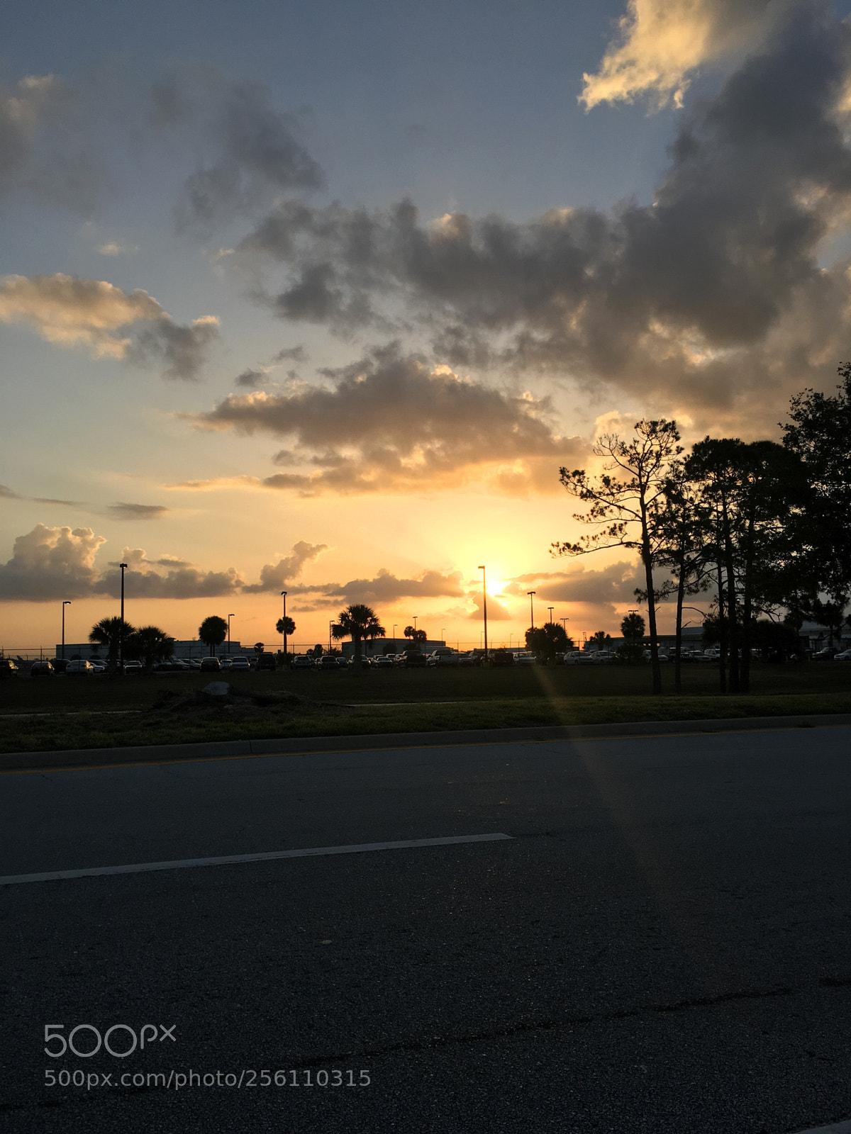 Apple iPhone 6s Plus sample photo. Sunrise in the sunshine photography