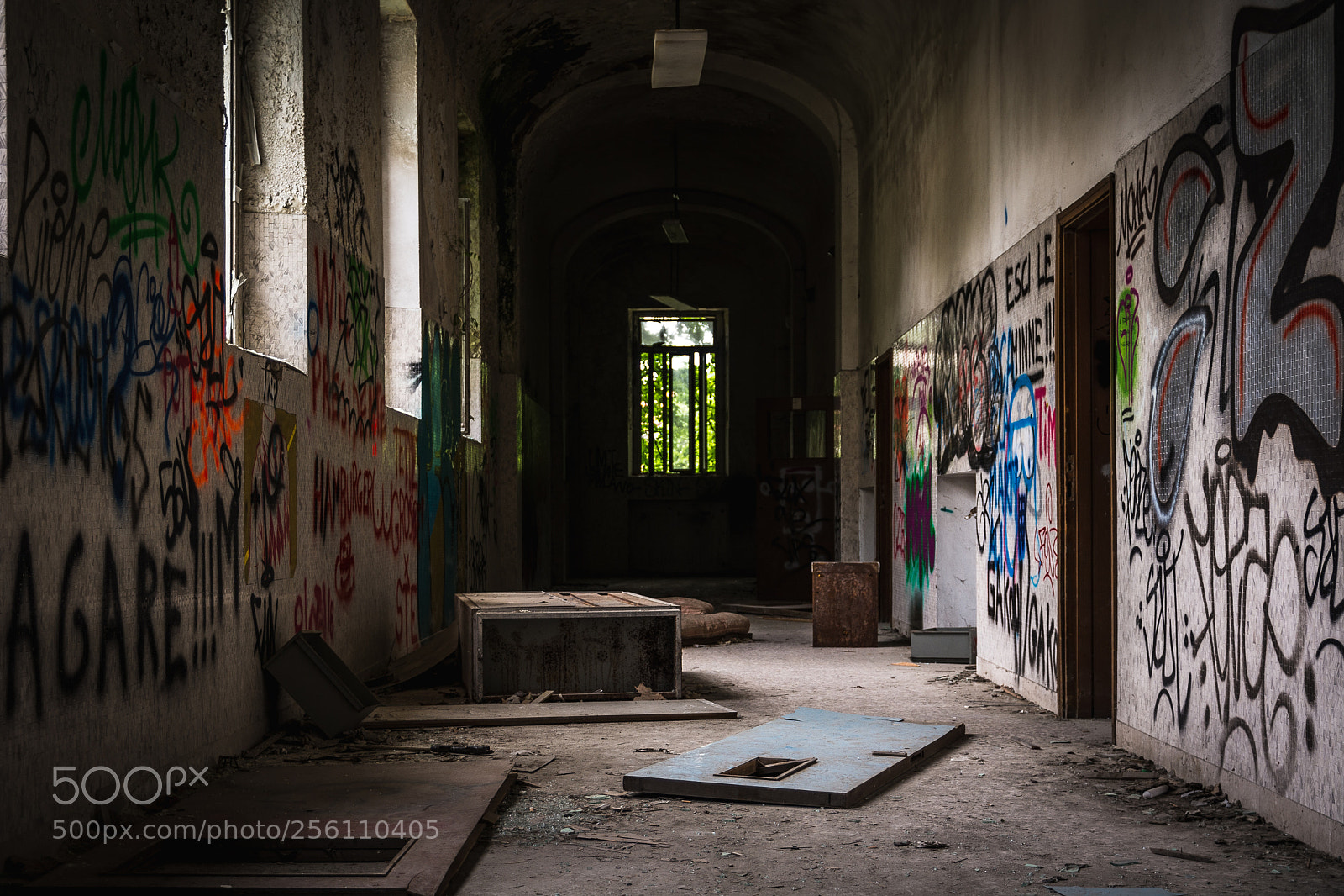Nikon D7100 sample photo. Asylum #1 photography