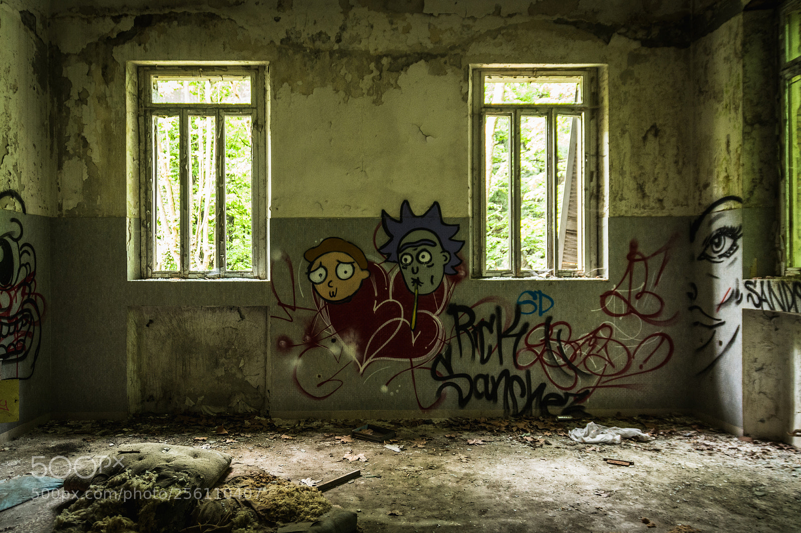 Nikon D7100 sample photo. Asylum #2 photography