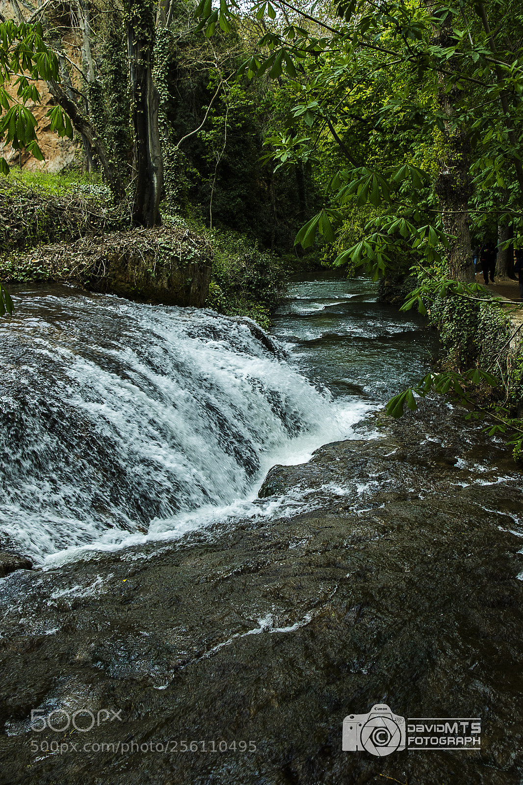 Canon EOS 7D Mark II sample photo. Monasterio de piedra photography