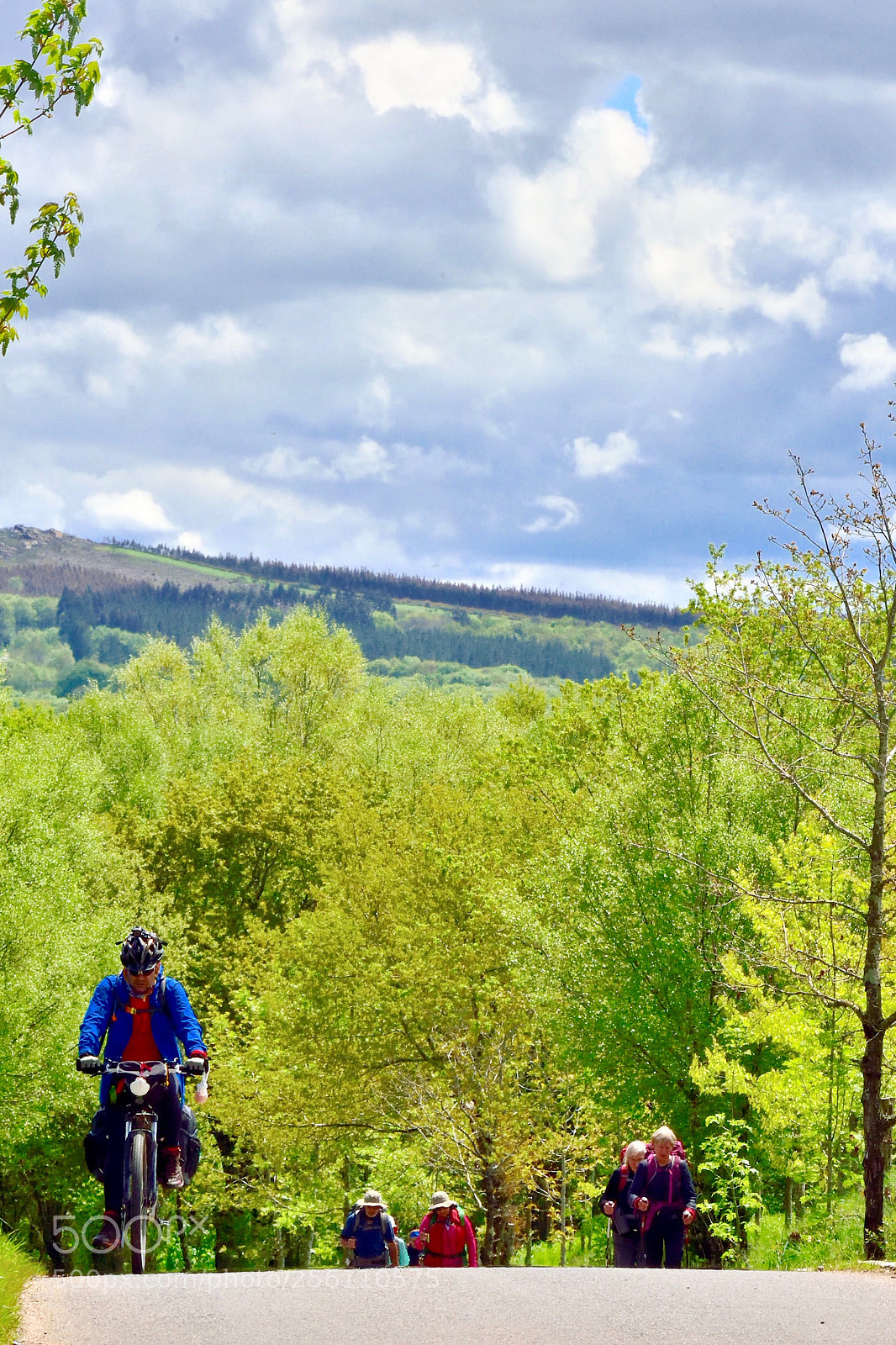 Nikon D810 sample photo. Camino hiking on the photography