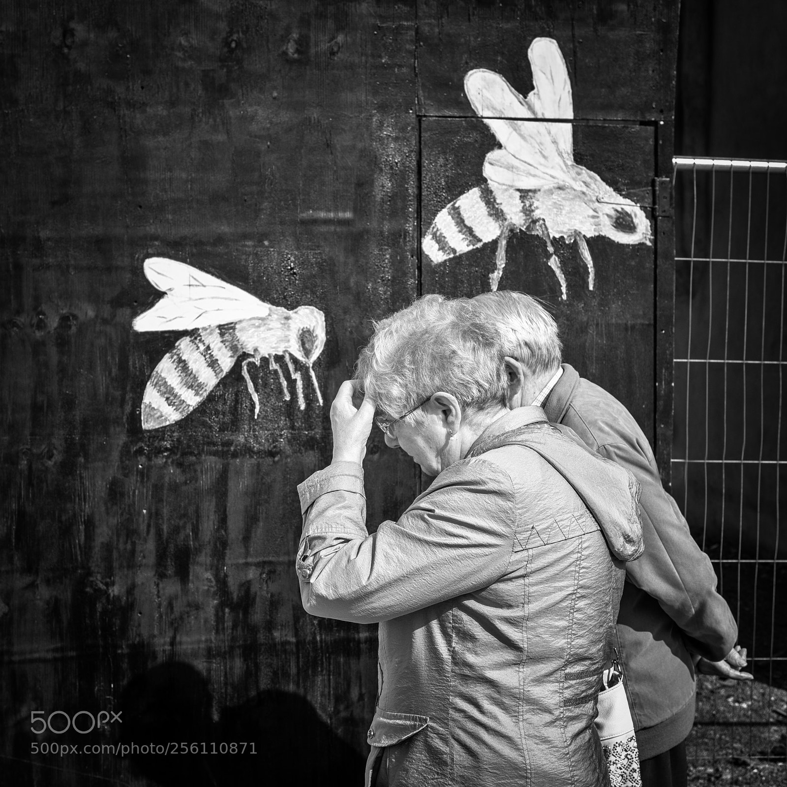 Fujifilm X-T2 sample photo. Buzz off! photography