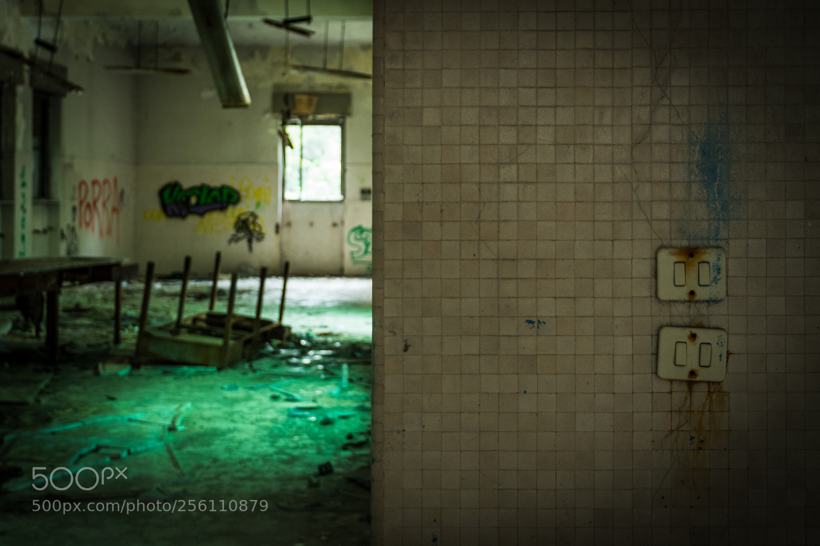 Nikon D7100 sample photo. Asylum #3 photography
