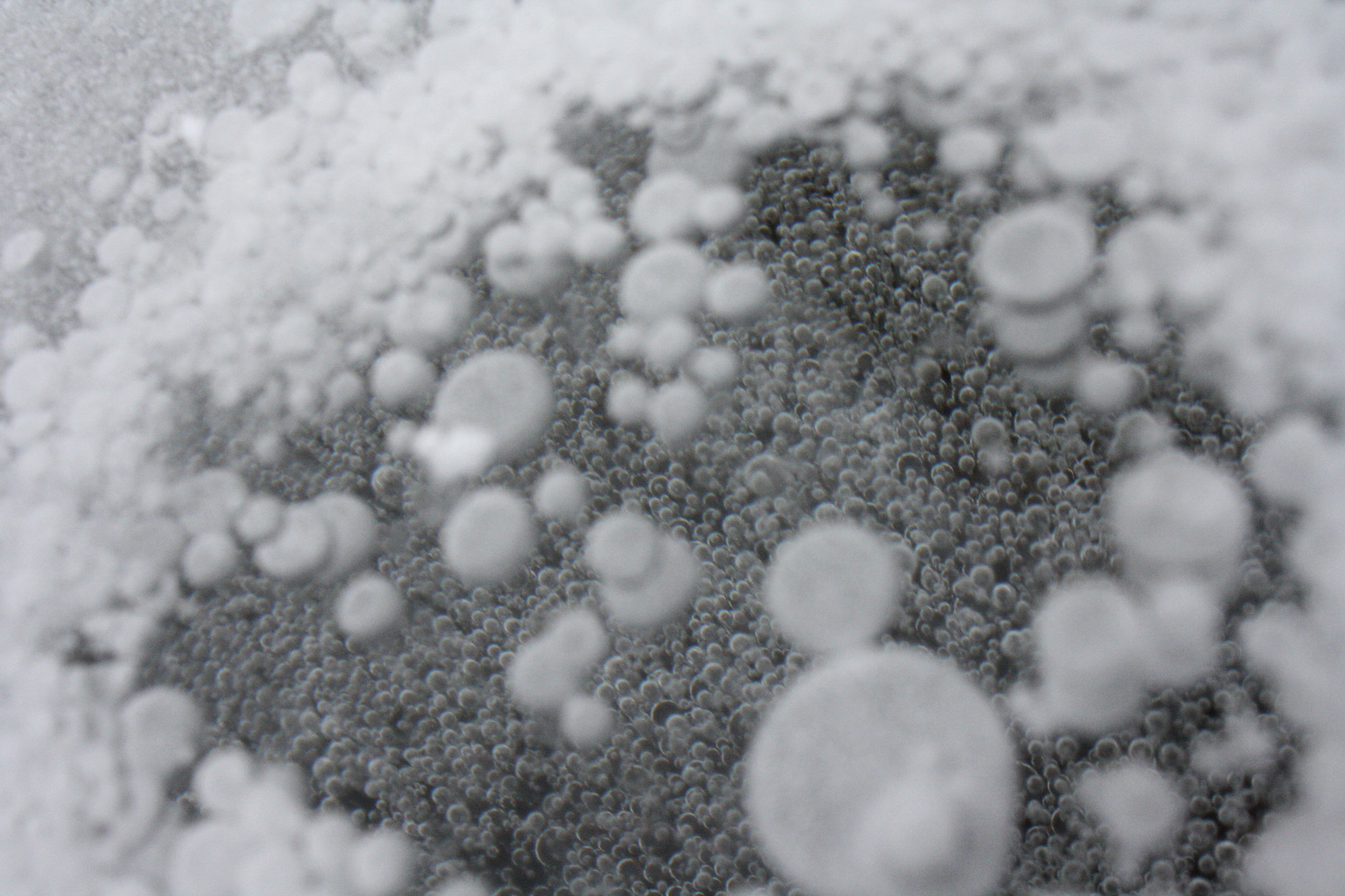 Canon EOS 1000D (EOS Digital Rebel XS / EOS Kiss F) sample photo. Ice photography