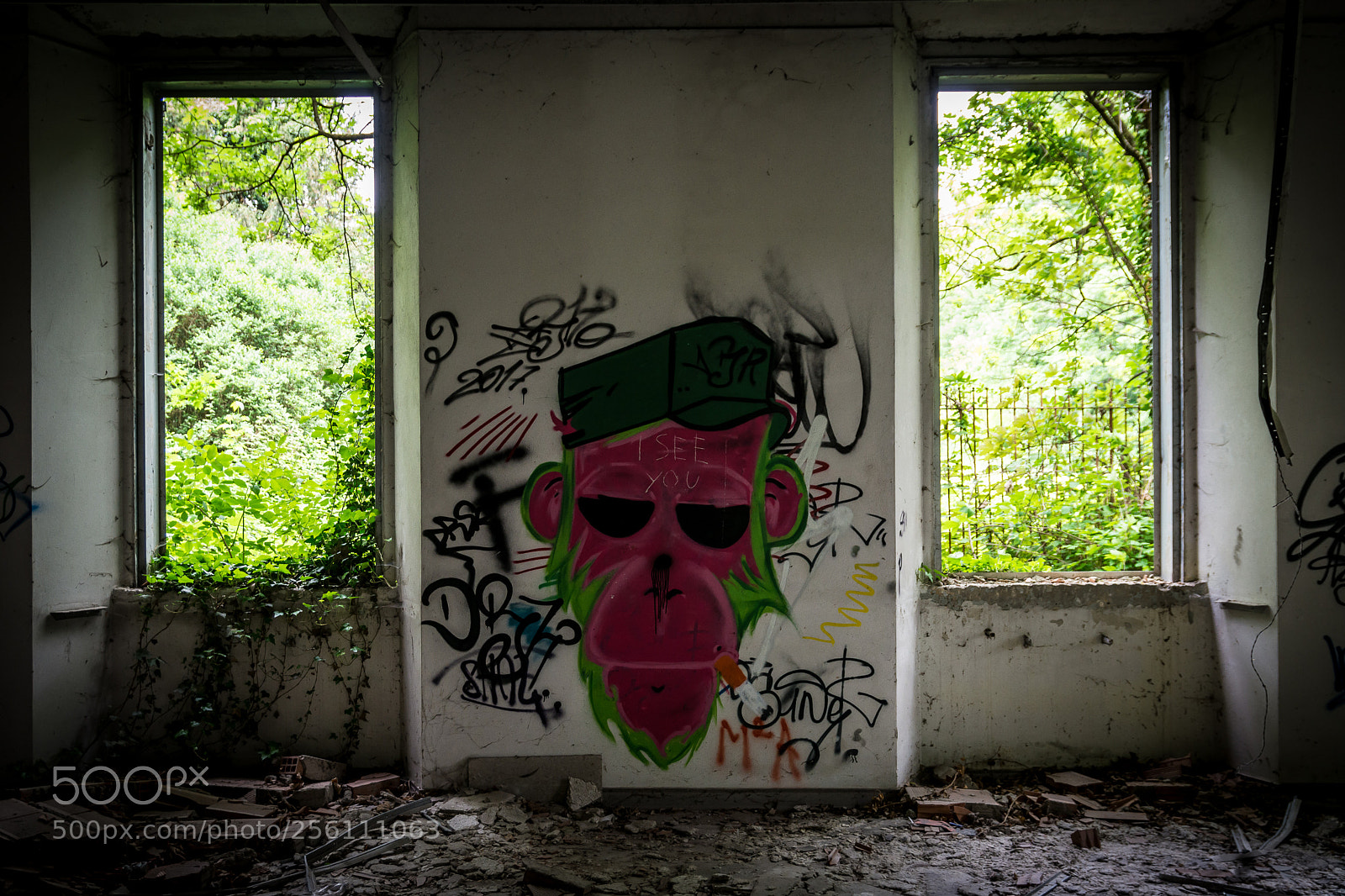 Nikon D7100 sample photo. Asylum #4 photography