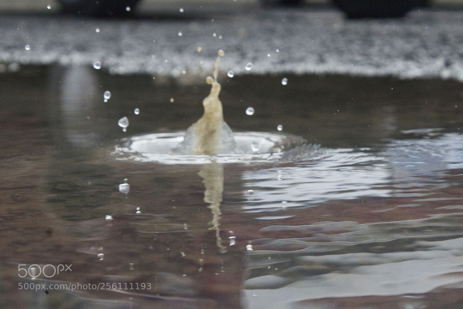 Canon EOS 1200D (EOS Rebel T5 / EOS Kiss X70 / EOS Hi) sample photo. Rain drop drop top photography