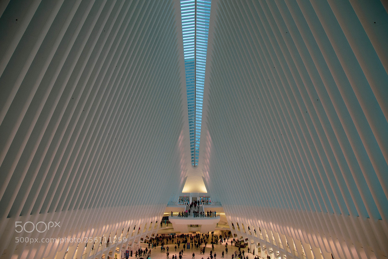 Canon EOS 6D sample photo. Oculus photography