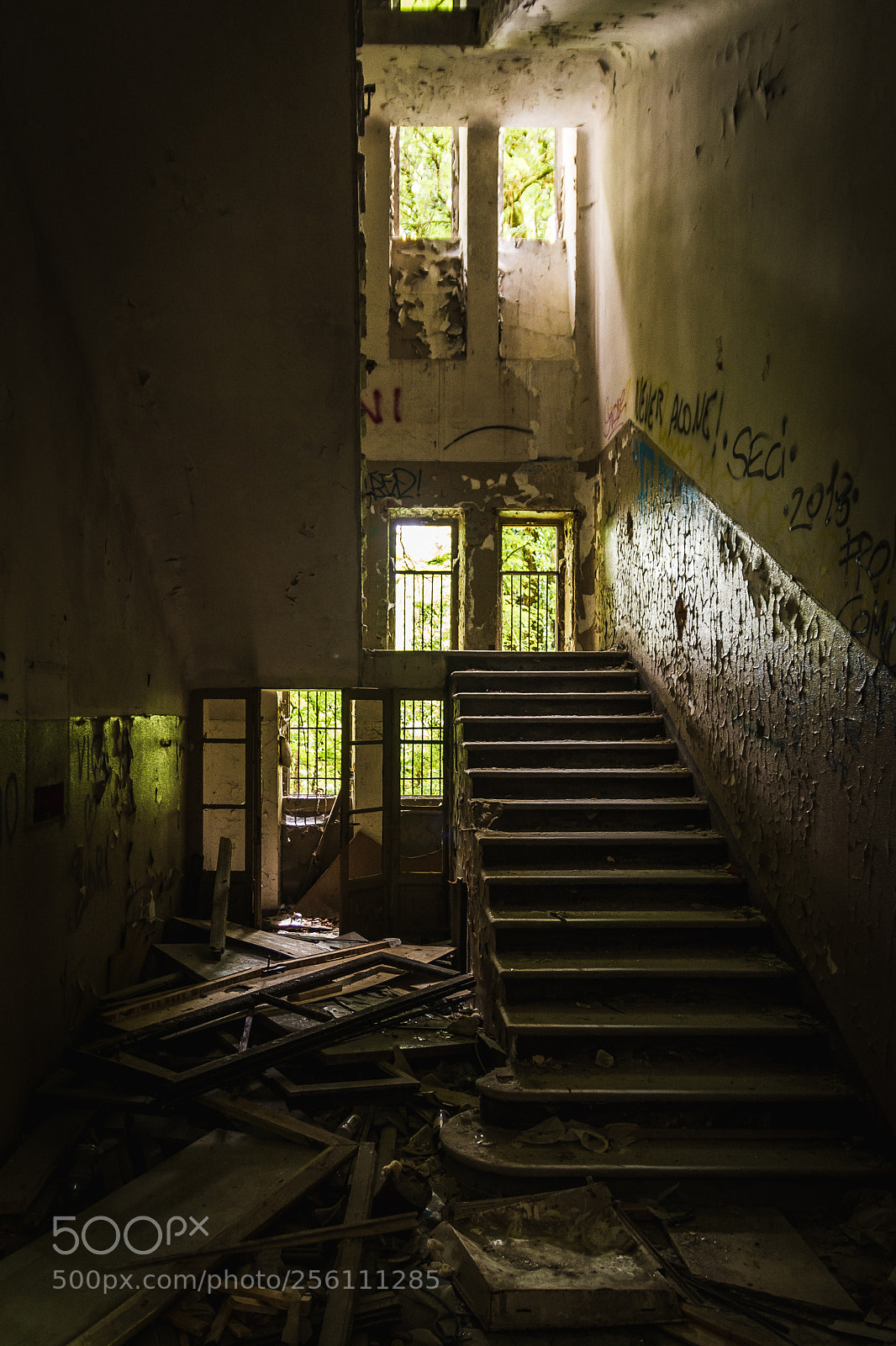 Nikon D7100 sample photo. Asylum #5 photography