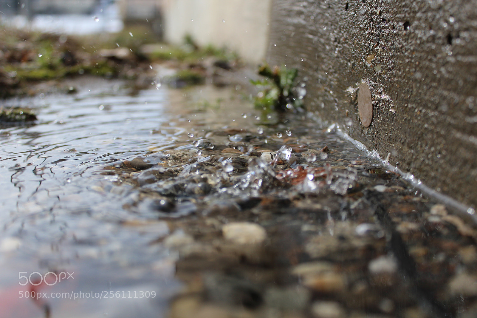 Canon EOS 1200D (EOS Rebel T5 / EOS Kiss X70 / EOS Hi) sample photo. Drip drop photography