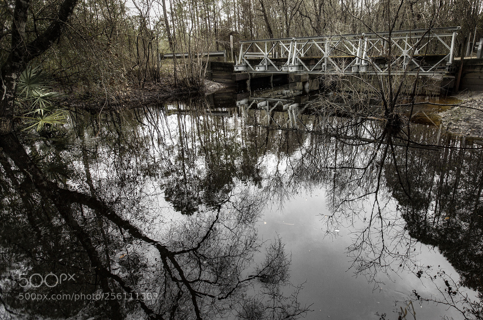 Canon EOS 5D Mark II sample photo. Reflections in blackwater photography