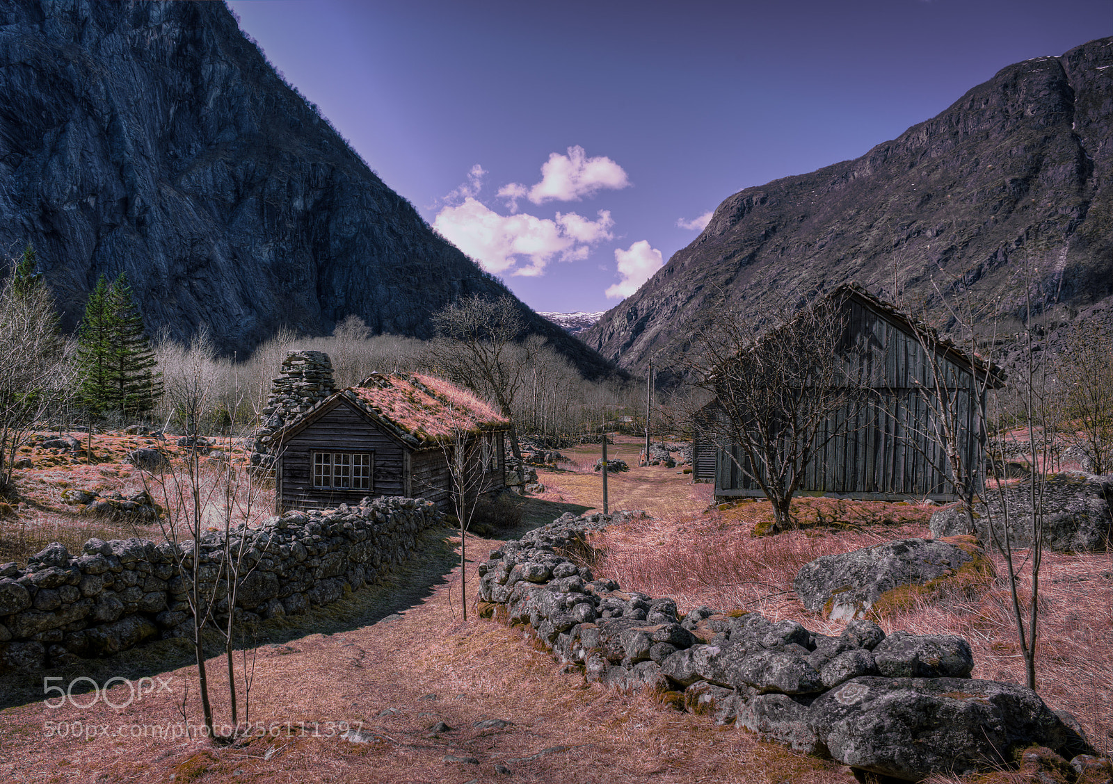 Sony a7 III sample photo. Down in the valley photography