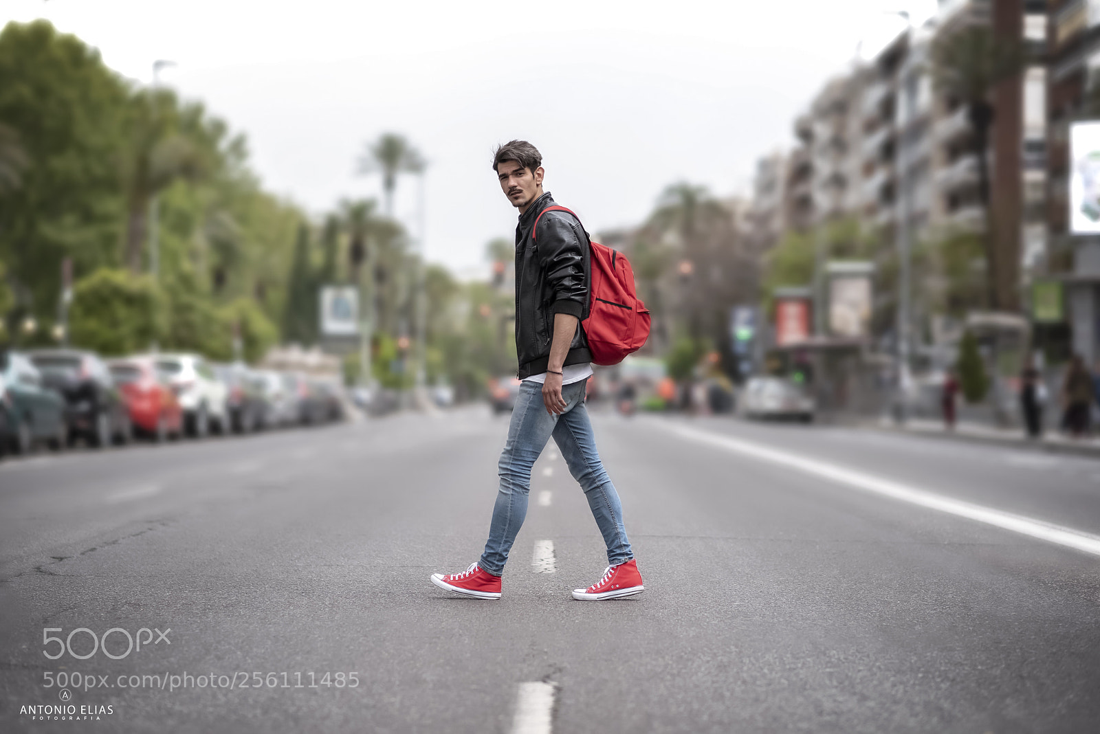 Nikon D750 sample photo. Untitled photography