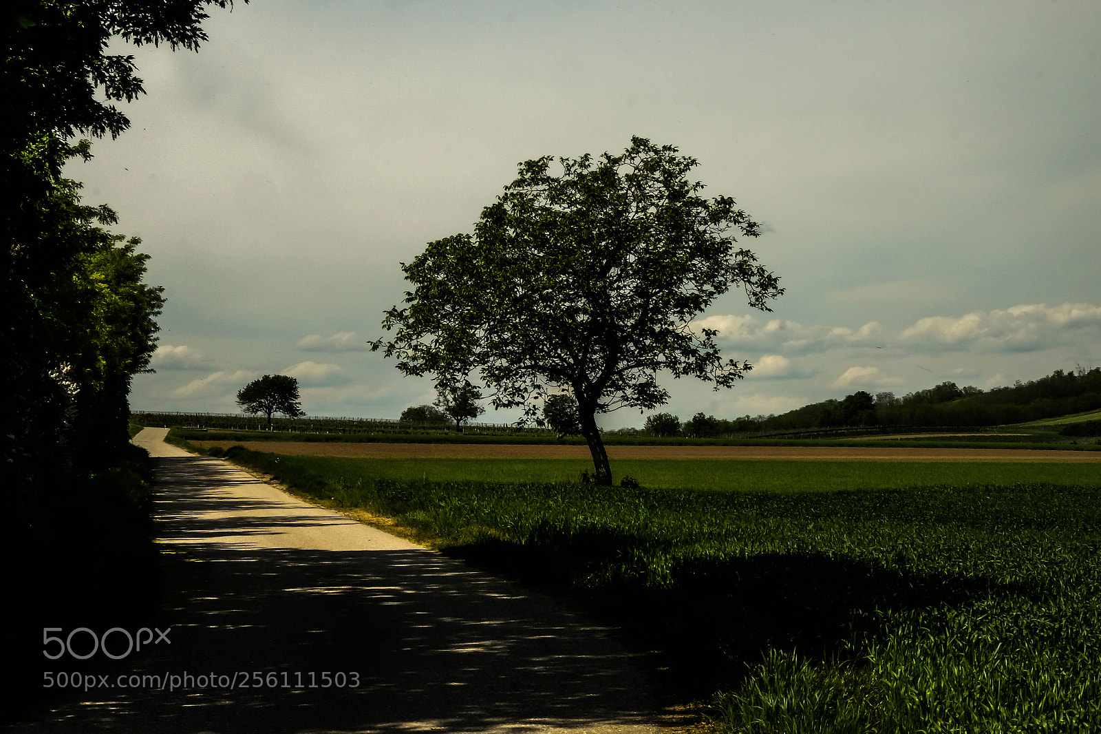 Fujifilm X-T1 sample photo. Nature photography