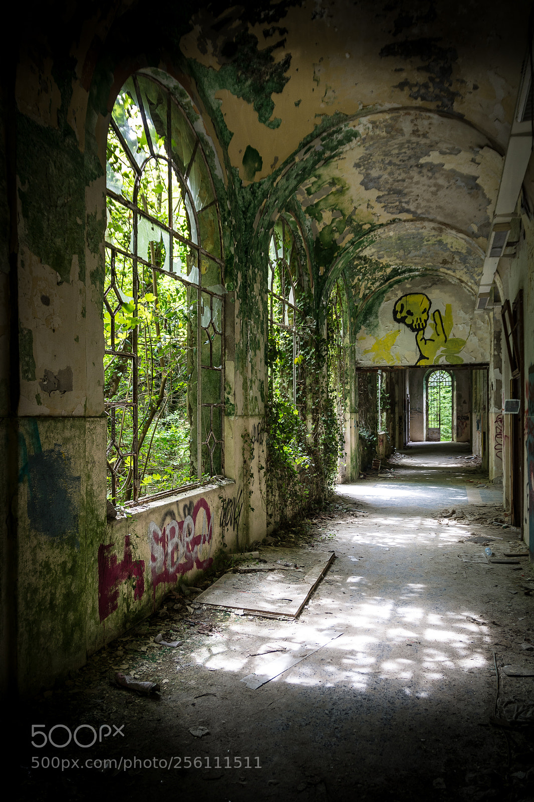 Nikon D7100 sample photo. Asylum #6 photography