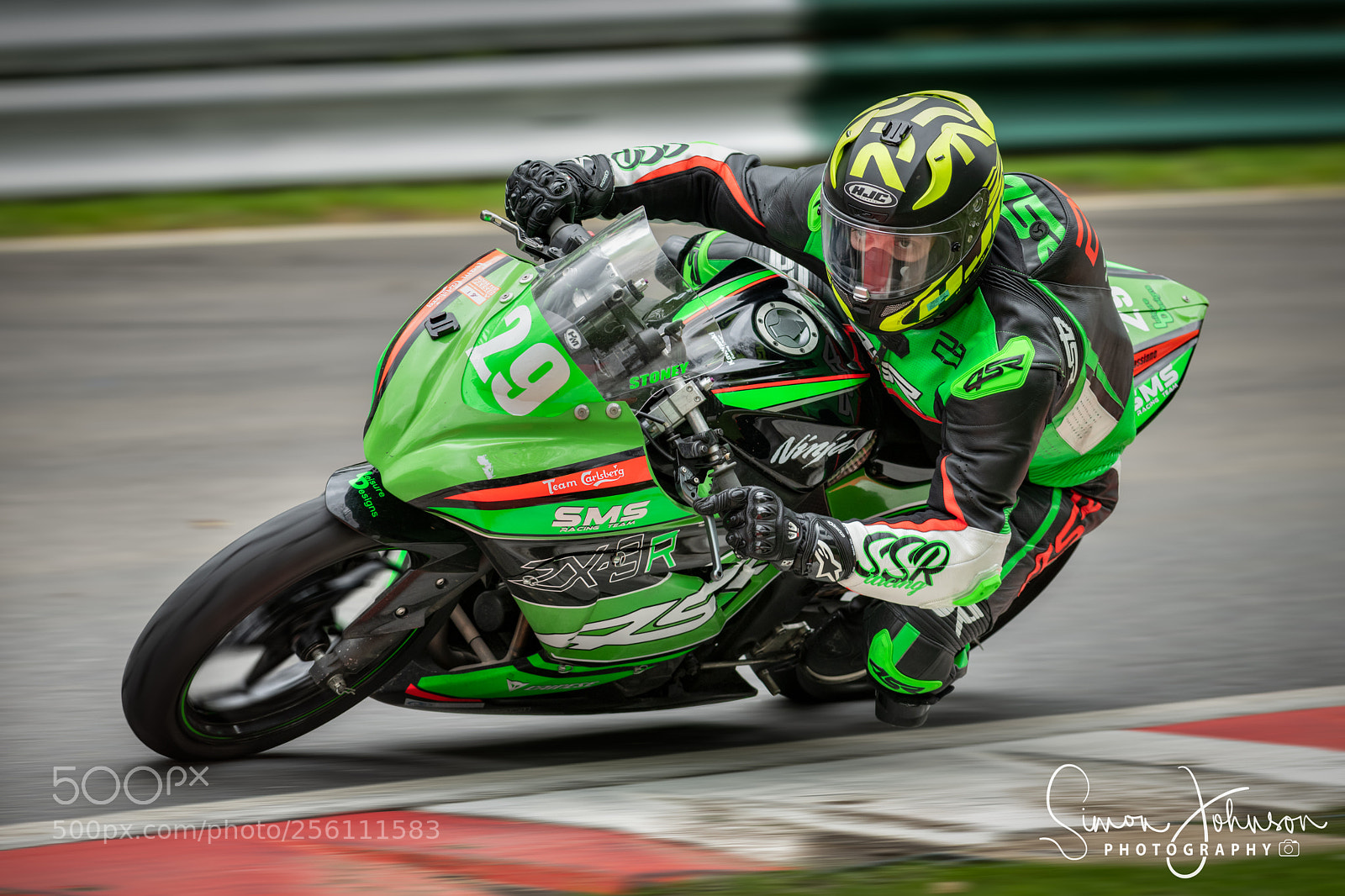 Nikon D850 sample photo. " all ninja like " photography