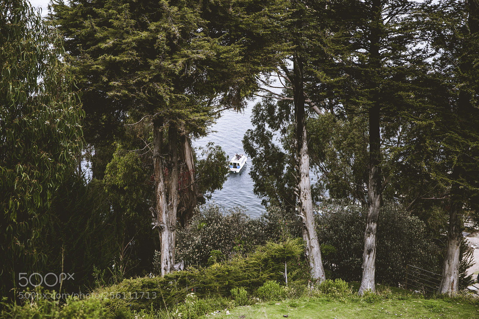 Canon EOS 6D sample photo. Woods photography