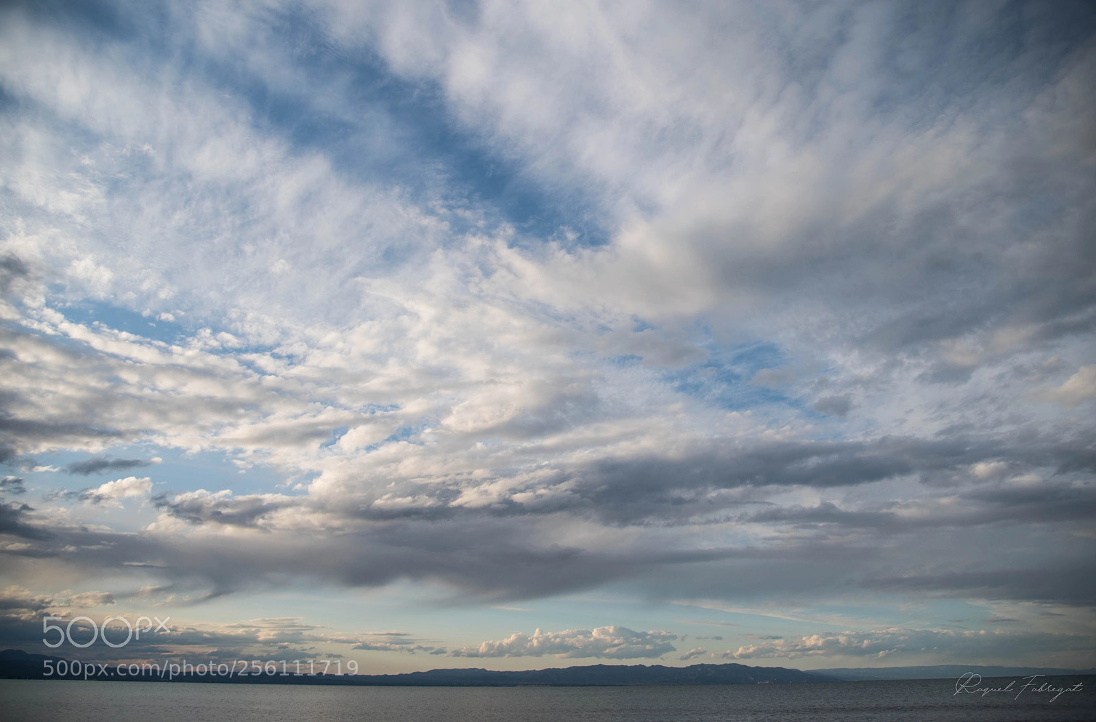 Nikon D750 sample photo. Like an impressionist painting photography