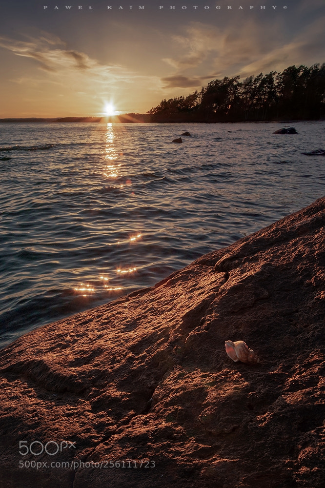 Nikon D5500 sample photo. Sunset photography