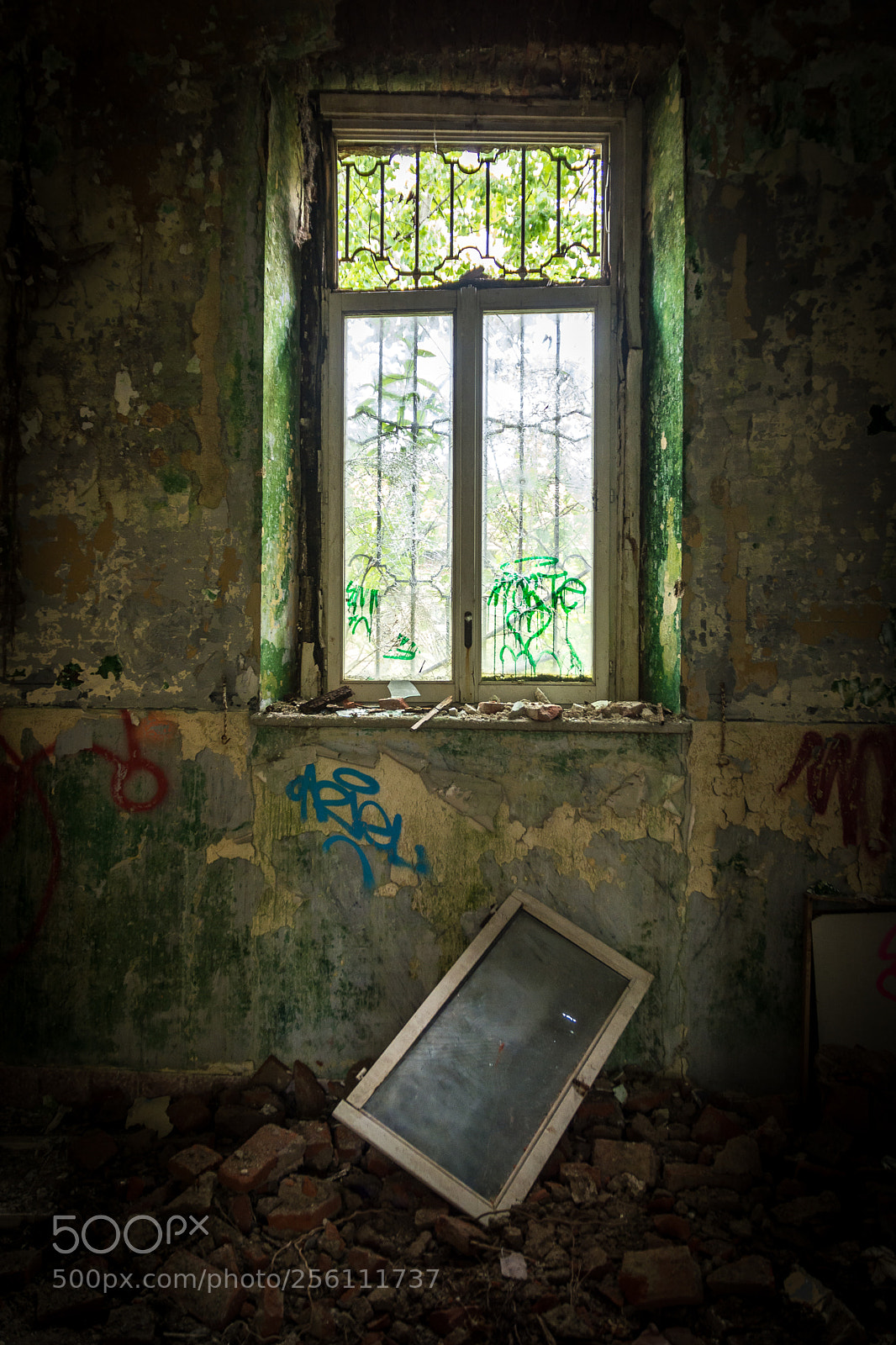 Nikon D7100 sample photo. Asylum #7 photography
