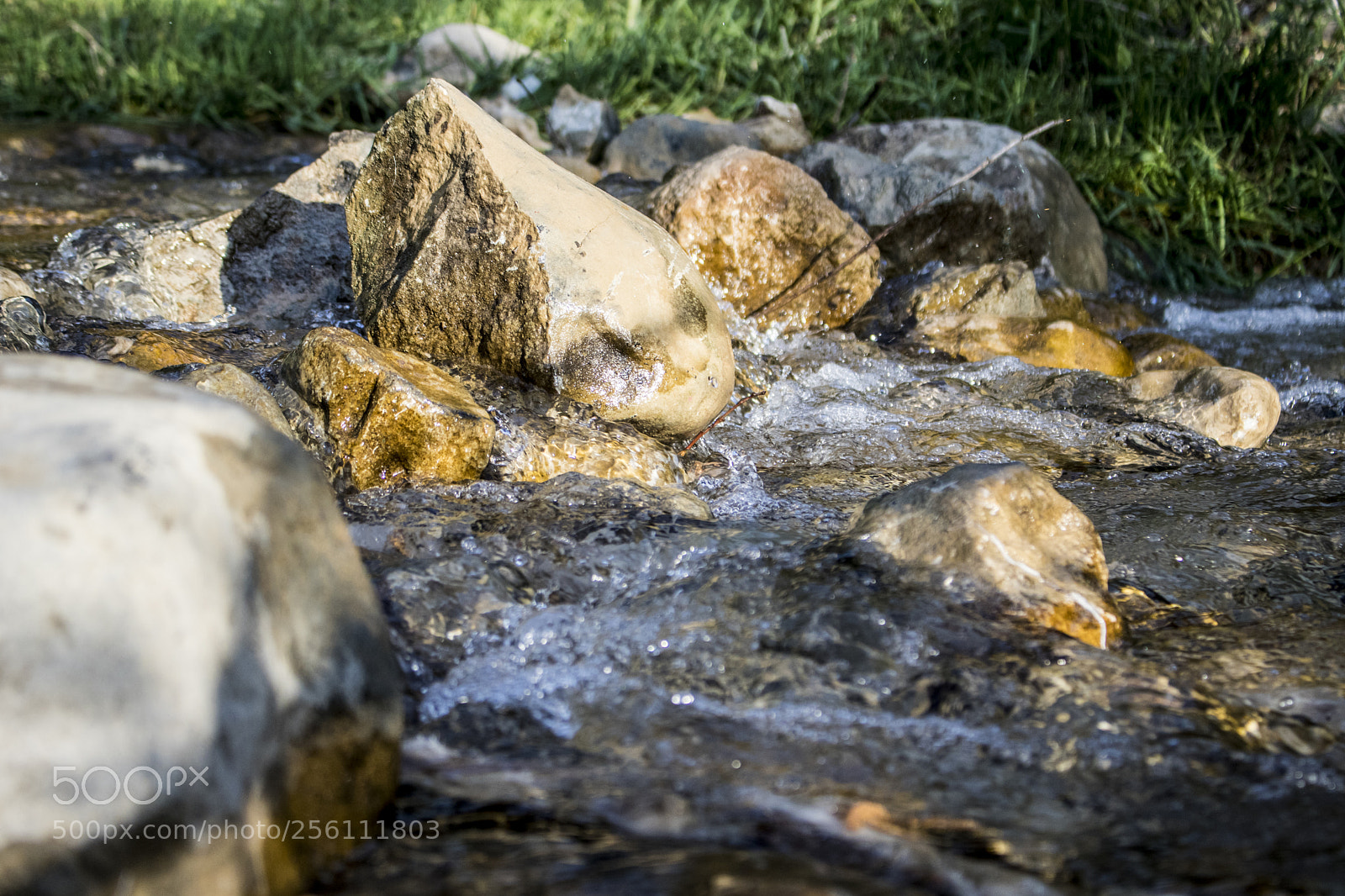 Canon EOS 77D (EOS 9000D / EOS 770D) sample photo. Life is going on photography