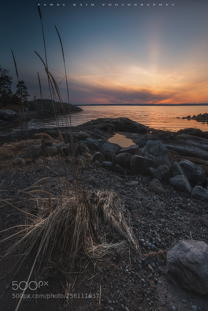 Nikon D5500 sample photo. Sunset glow photography