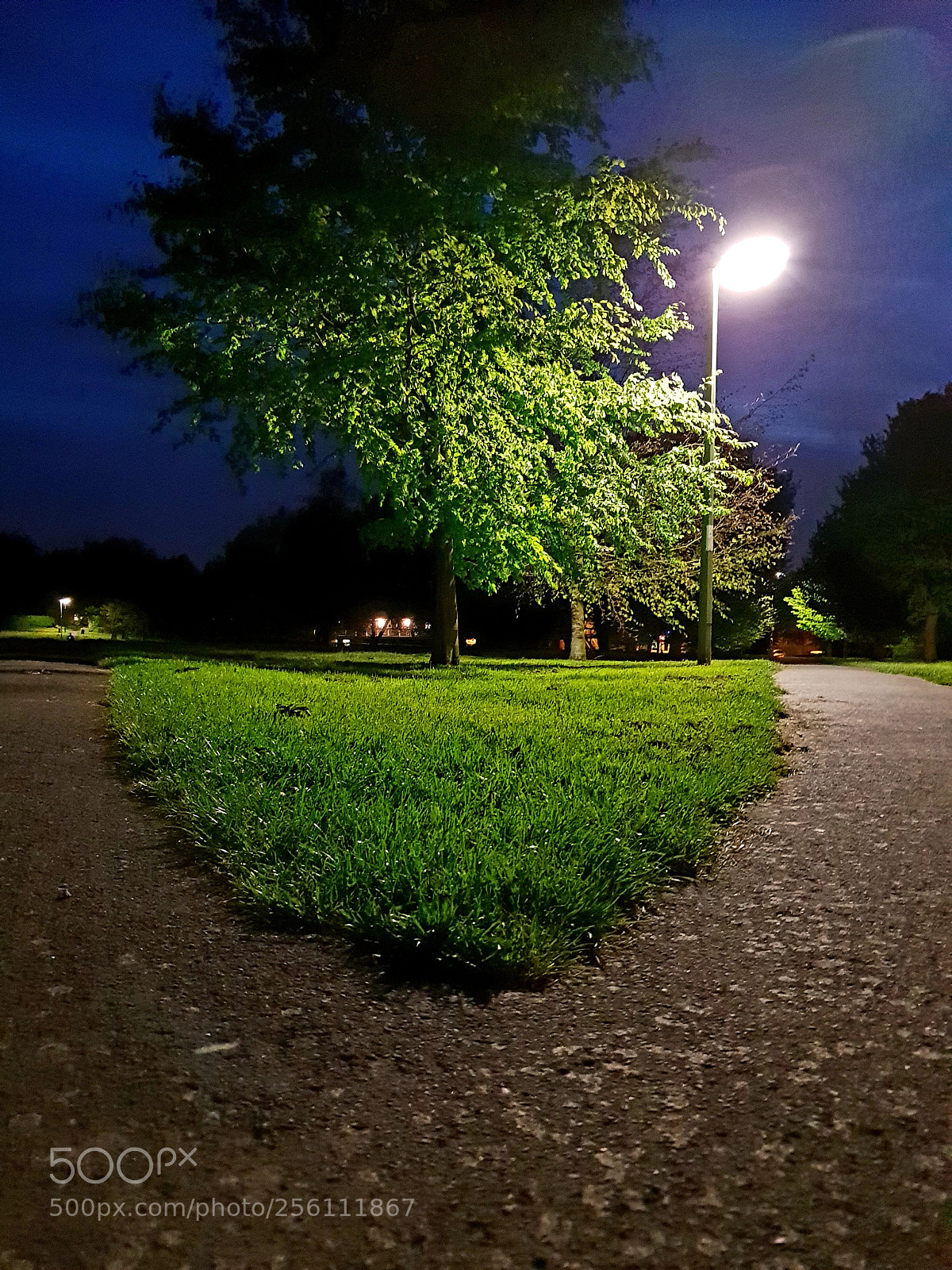 Samsung Galaxy S9 sample photo. Untitled photography