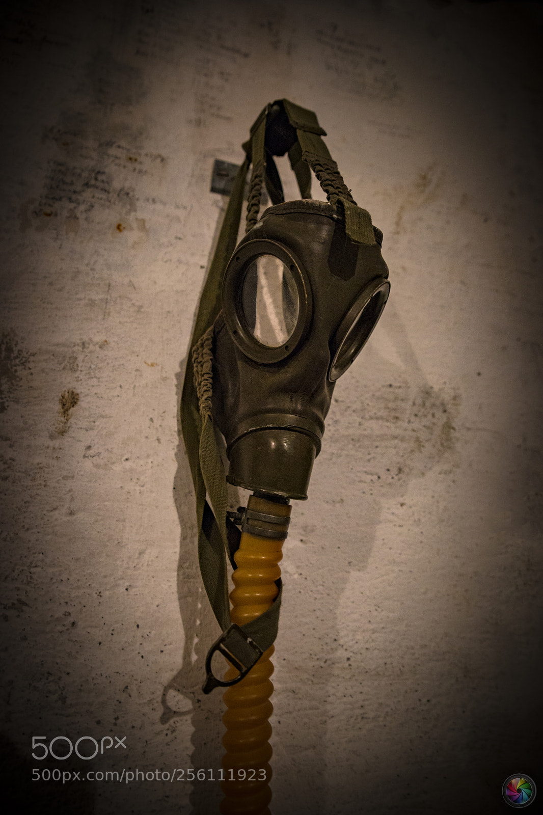 Sony SLT-A99V sample photo. Gasmaske photography