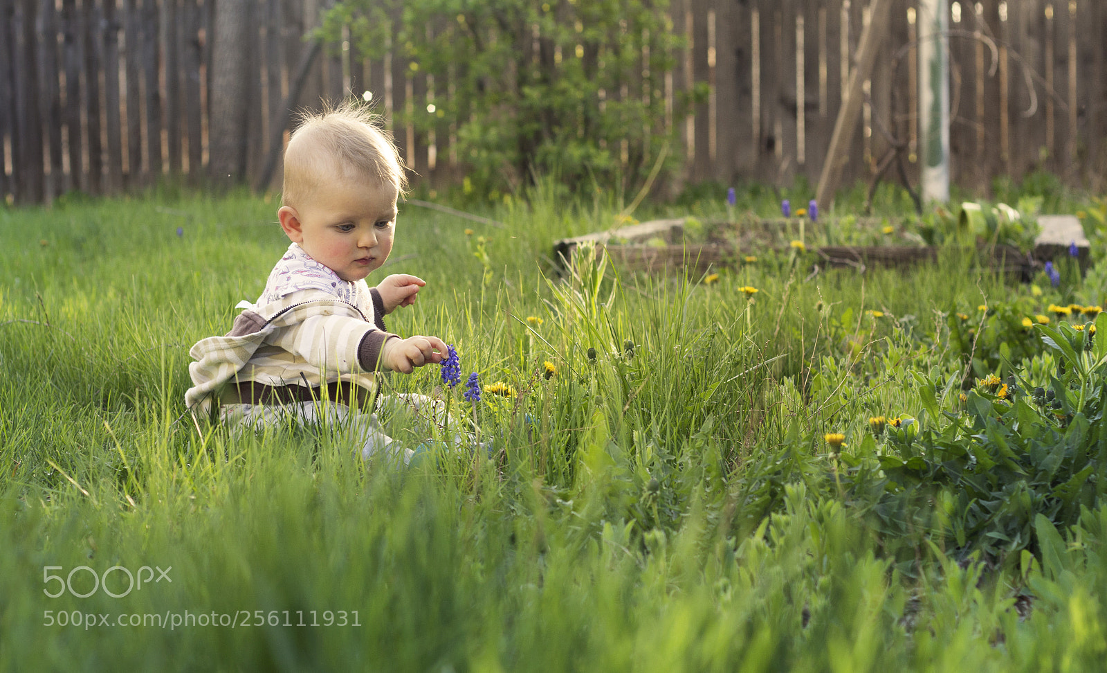 Canon EOS 650D (EOS Rebel T4i / EOS Kiss X6i) sample photo. Backyard discovery photography