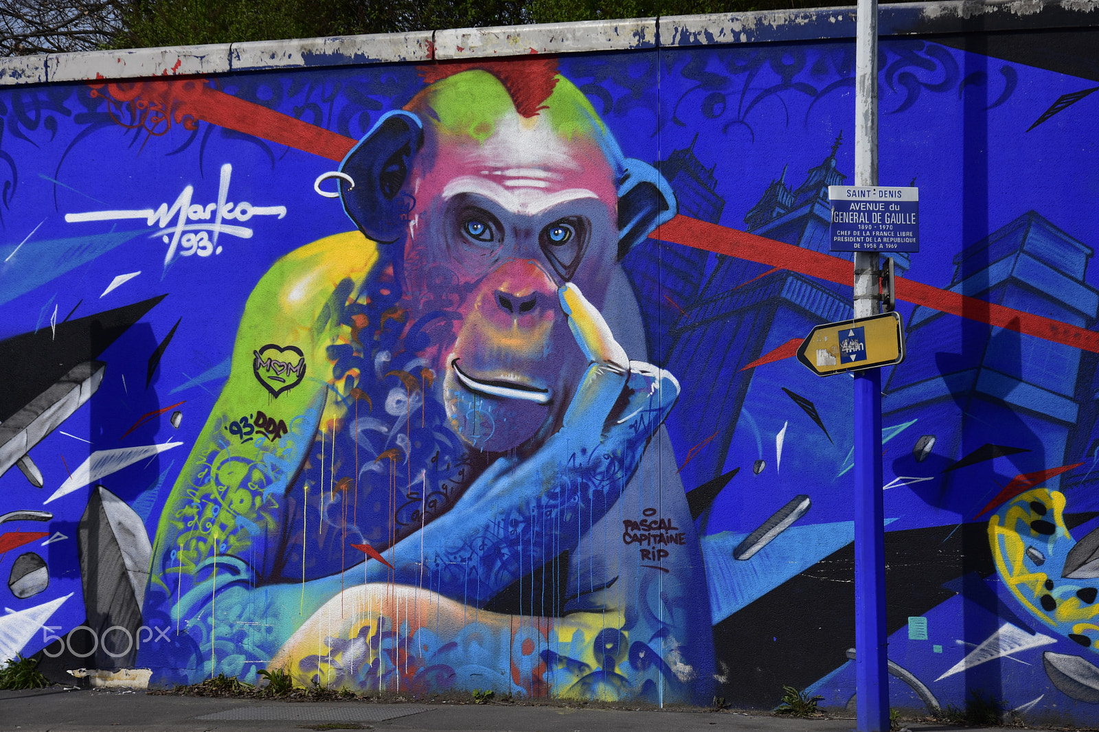 Nikon D7200 sample photo. Street art monkey photography