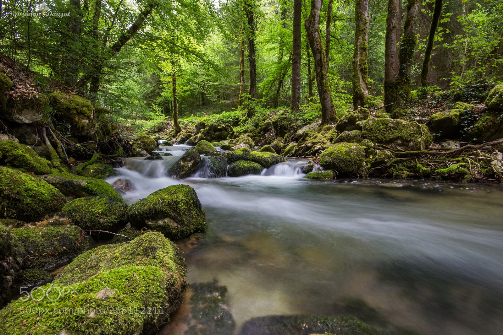 Canon EOS 600D (Rebel EOS T3i / EOS Kiss X5) sample photo. Peaceful stream photography