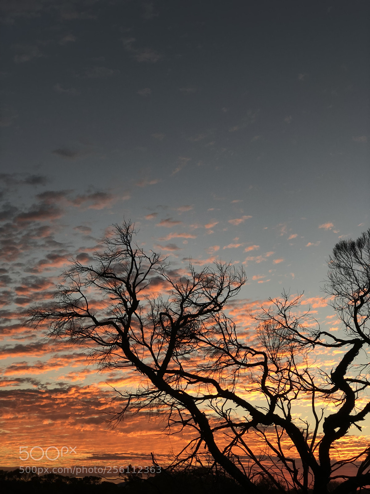 Apple iPhone 8 Plus sample photo. Fiery skies  photography
