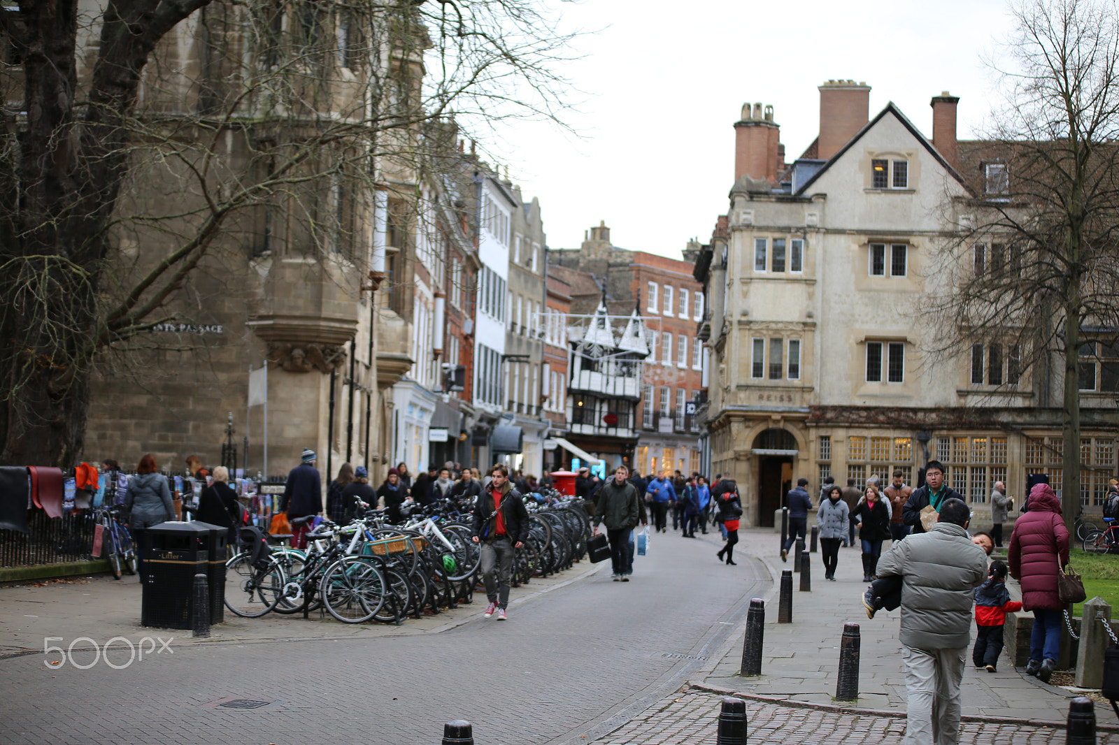 Sigma 70-200mm F2.8 EX DG OS HSM sample photo. Walk around cambridge, december 2016 photography