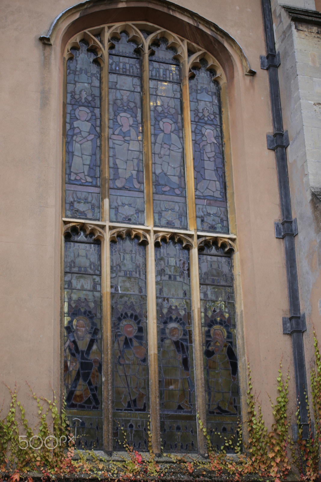 Sigma 70-200mm F2.8 EX DG OS HSM sample photo. Walk around cambridge, december 2016 photography