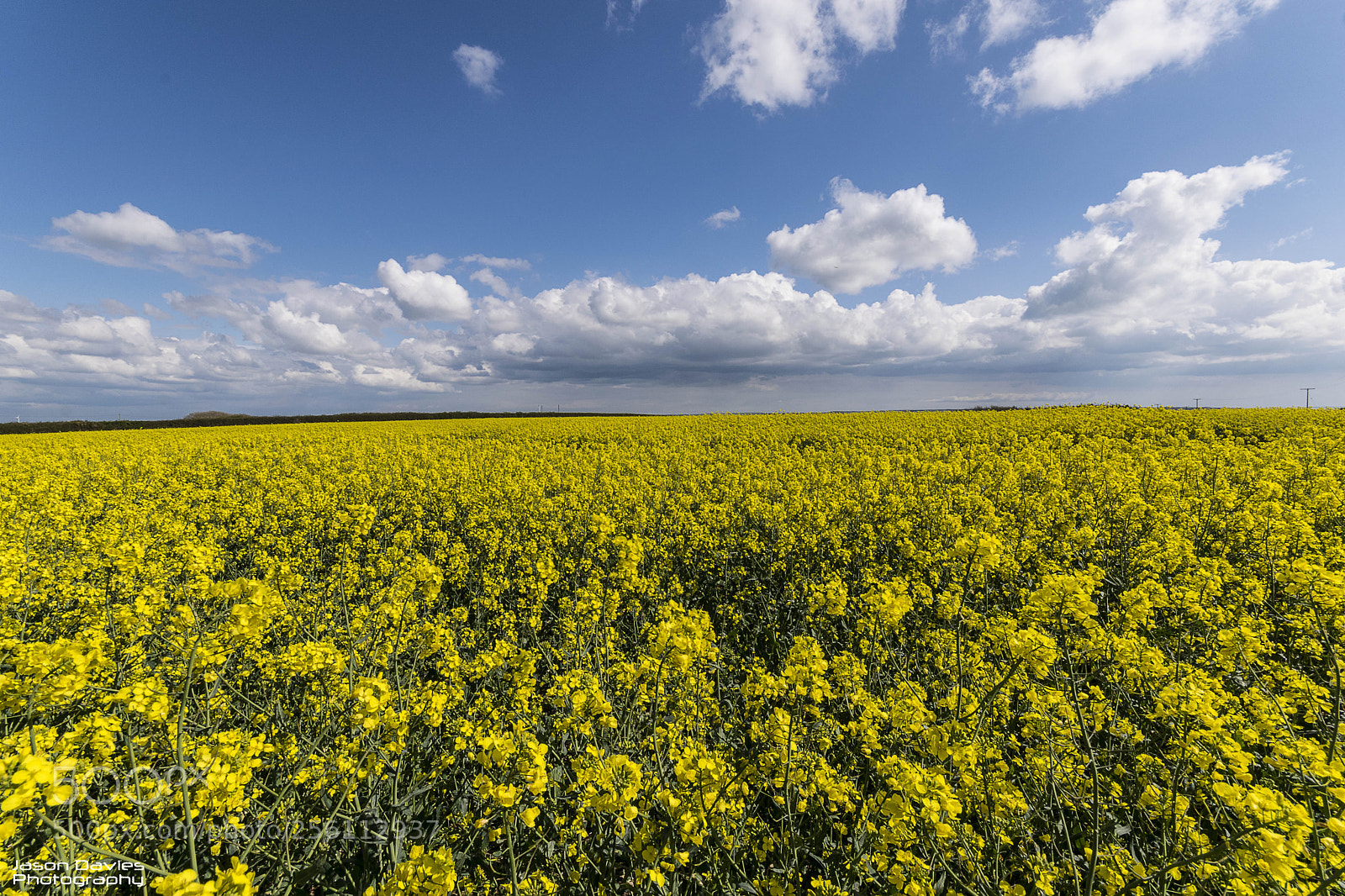Nikon D5300 sample photo. Contrast of colour photography